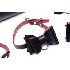 Набір БДСМ з дорожньою сумкою Master Series: Bow – Luxury BDSM Set With Travel Bag, 11 предметів