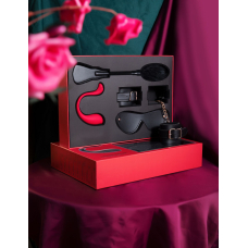 Преміальний подарунковий набір зі смарт віброяйцем Svakom Limited Gift Box – інтеграція з вебкамерою