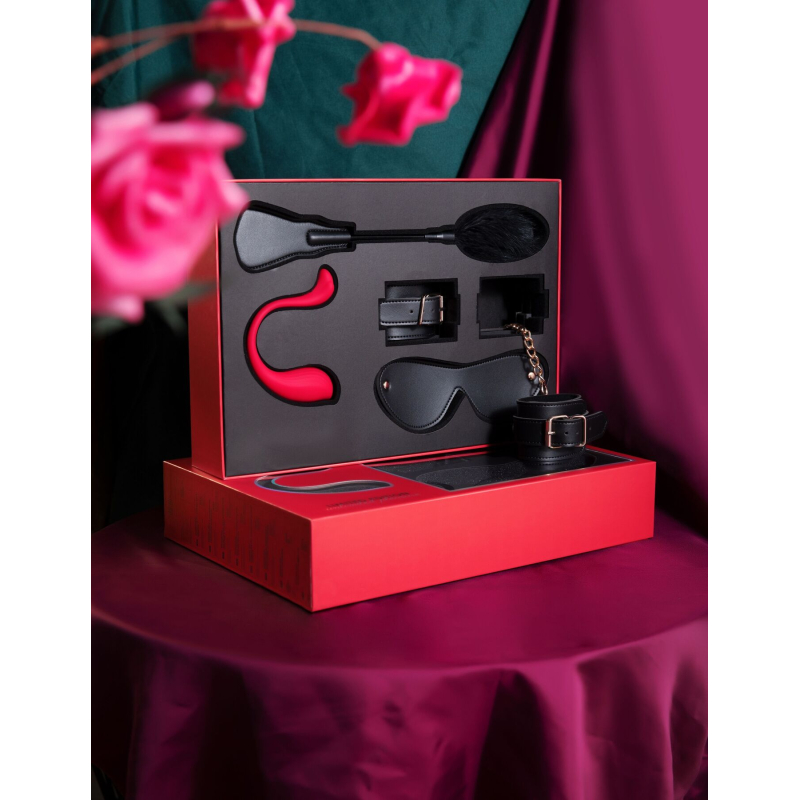 Преміальний подарунковий набір зі смарт віброяйцем Svakom Limited Gift Box – інтеграція з вебкамерою