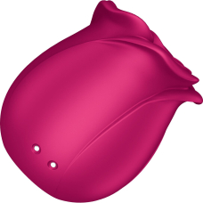 Вакуумний стимулятор "троянда" – Satisfyer Pro 2 Classic Blossom – 11 режимів, 2 насадки