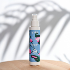 Антибактеріальний спрей для секс-іграшок – Goliate Nettoyant Sextoy, 100 мл, безпечний для тіла