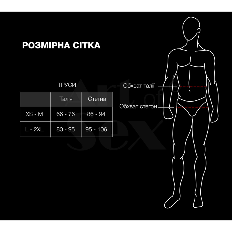Чоловічі труси із сітки – Art of Sex Demir, розмір L–2XL, чорного кольору