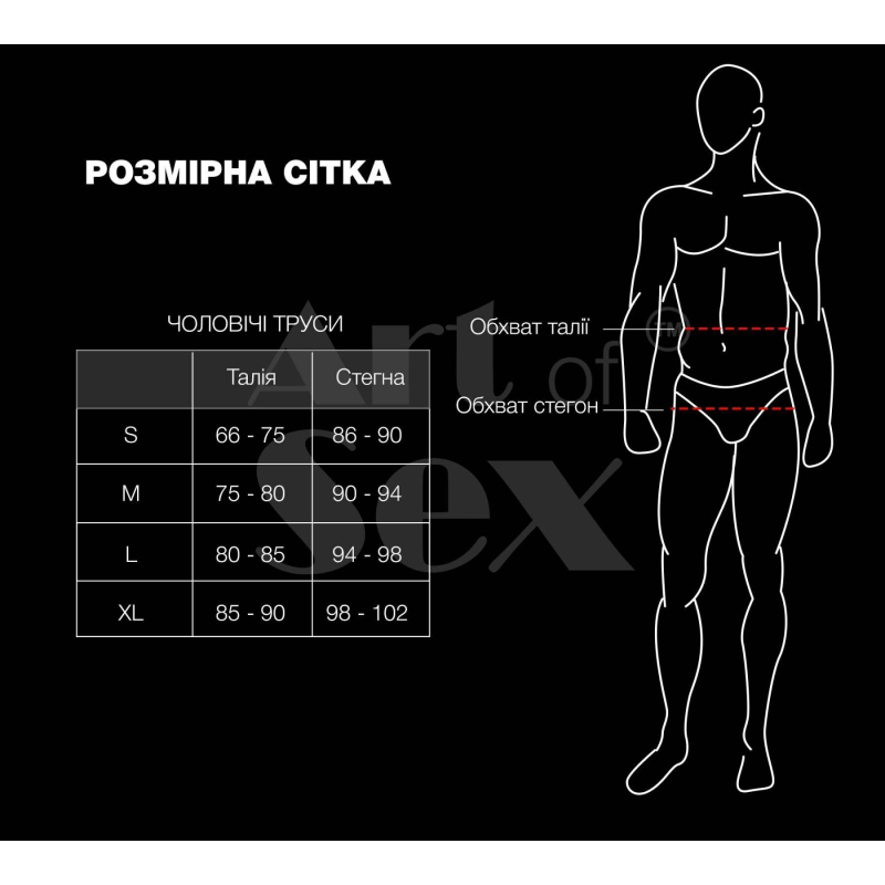 Чоловічі труси з сюрпризом – Art of Sex Gladiator, розмір L, чорного кольору з ефектом мокрого оксамиту