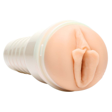 Мастурбатор зі зліпка вагіни Gina Valentina Stellar – Fleshlight