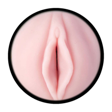 Рожевий мастурбатор вагіна Destroya – Fleshlight Lady