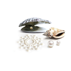 Пестис из кристаллов Bijoux Indiscrets – Mimi Pearl, украшение на грудь – перламутровый цвет