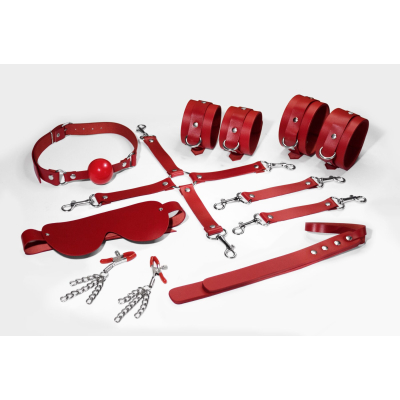 Набор Feral Feelings BDSM Kit 7 Red, наручники, поножи, коннектор, маска, падл, кляп, зажимы